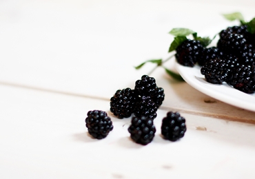 forest fruits